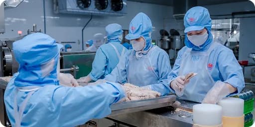 HALONG CANNED FOOD JOINT STOCK COMPANY - HAI PHONG - 1