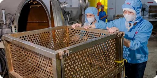 HALONG CANNED FOOD JOINT STOCK COMPANY - HAI PHONG - 5