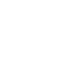 vision-icon